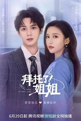 拜托了!姐姐