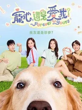 宠他、还是爱我？