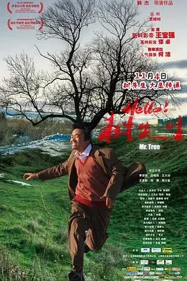 Hello、树先生