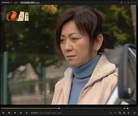 妈妈我真的爱你粤语